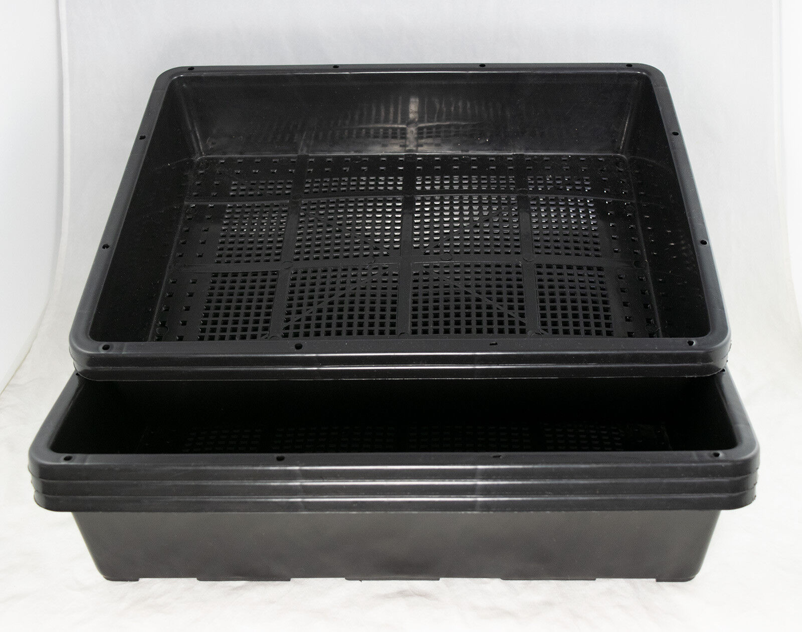 5 x Black Plastic Trays for Propagation, Bonsai Group Planting 15\