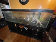Fish Tank Lot, FX6 Filters, Other Filters, Heaters, Lights, 75/125/220 Gallons picture