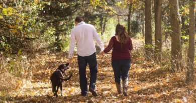5 Tips for a Safe and Happy Autumn with Your Pets
